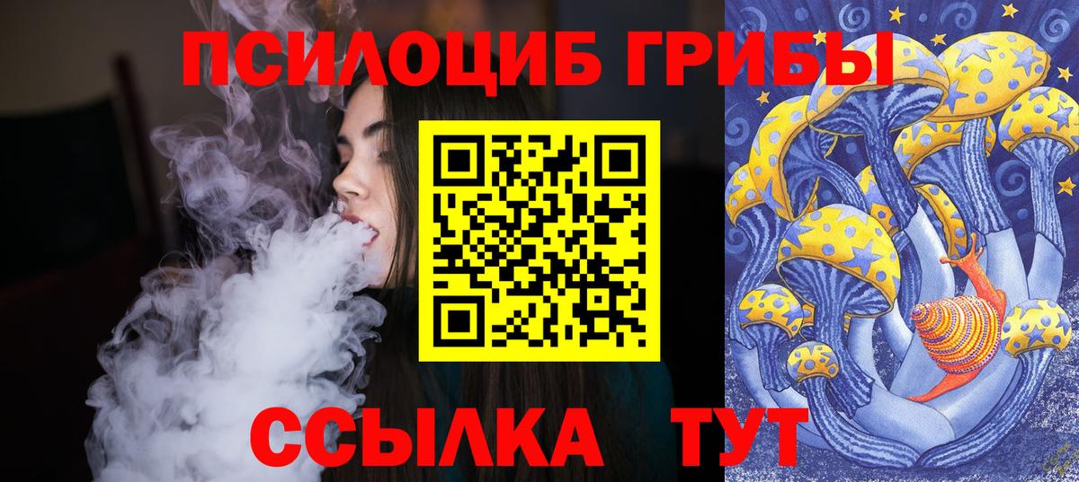 Прохладный  Галлюциногенные грибы прущие грибы  Галлюциногенные грибы мицелий  Вход с VPN 