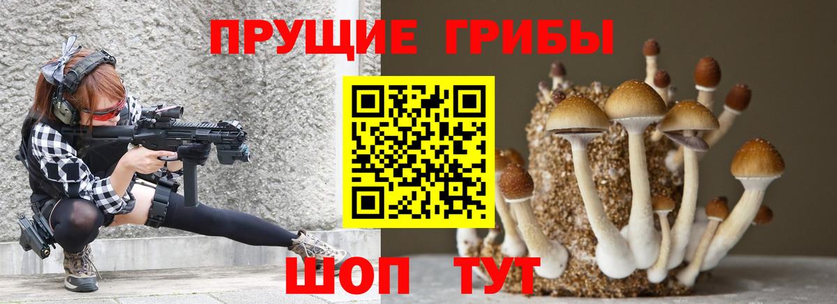 Псилоцибиновые грибы мицелий Прохладный